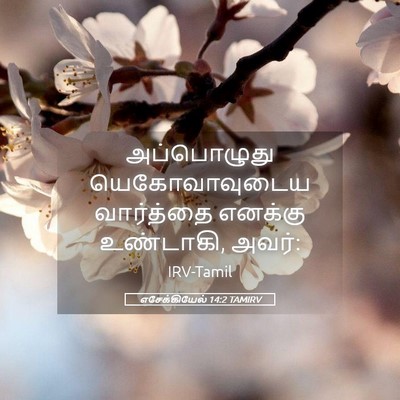Picture 05 - எசேக்கியேல் 14:2 TAMIRV - அப்பொழுது - Bible Verse Picture