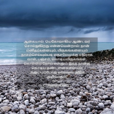 Picture 05 - எசேக்கியேல் 14:21 TAMIRV - ஆகையால், - Bible Verse Picture