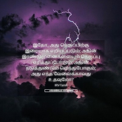 Picture 05 - எசேக்கியேல் 15:4 TAMIRV - இதோ, அது - Bible Verse Picture