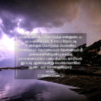 Picture 05 - எசேக்கியேல் 16:19 TAMIRV - நான் உனக்குக் - Bible Verse Picture