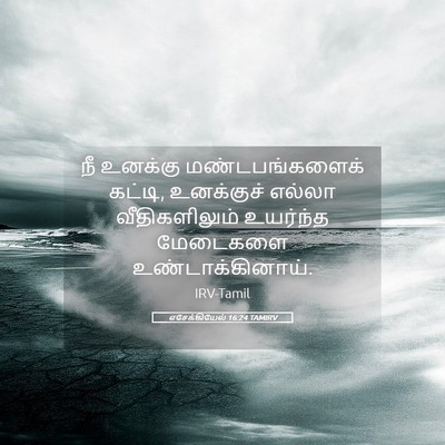 Picture 05 - எசேக்கியேல் 16:24 TAMIRV - நீ உனக்கு - Bible Verse Picture