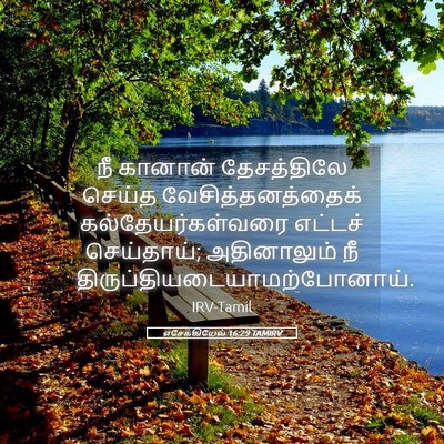 Picture 05 - எசேக்கியேல் 16:29 TAMIRV - நீ கானான் - Bible Verse Picture