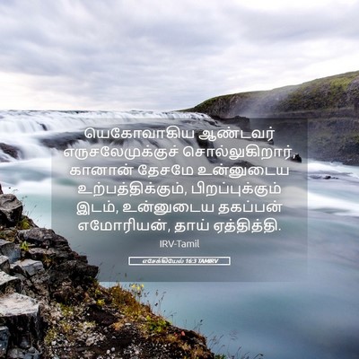 Picture 05 - எசேக்கியேல் 16:3 TAMIRV - யெகோவாகிய ஆண்டவர் - Bible Verse Picture