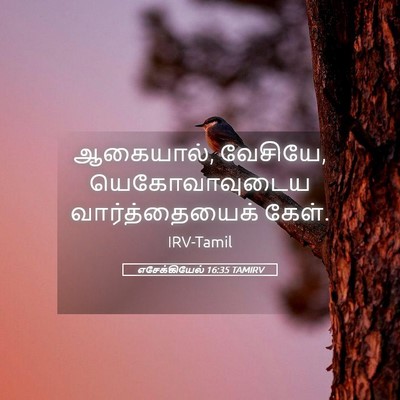 Picture 05 - எசேக்கியேல் 16:35 TAMIRV - ஆகையால், வேசியே, - Bible Verse Picture