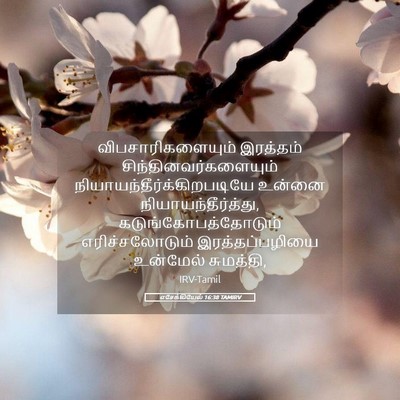 Picture 05 - எசேக்கியேல் 16:38 TAMIRV - விபசாரிகளையும் - Bible Verse Picture