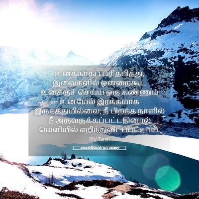 Picture 05 - எசேக்கியேல் 16:5 TAMIRV - உனக்காகப் - Bible Verse Picture