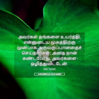 Picture 05 - எசேக்கியேல் 16:50 TAMIRV - அவர்கள் தங்களை - Bible Verse Picture