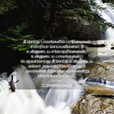 Picture 05 - எசேக்கியேல் 16:51 TAMIRV - நீ செய்த - Bible Verse Picture