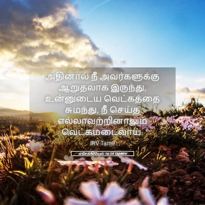 Picture 05 - எசேக்கியேல் 16:54 TAMIRV - அதினால் நீ - Bible Verse Picture