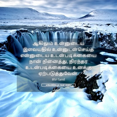 Picture 05 - எசேக்கியேல் 16:60 TAMIRV - ஆகிலும் உன்னுடைய - Bible Verse Picture