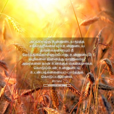 Picture 05 - எசேக்கியேல் 16:61 TAMIRV - அப்பொழுது - Bible Verse Picture
