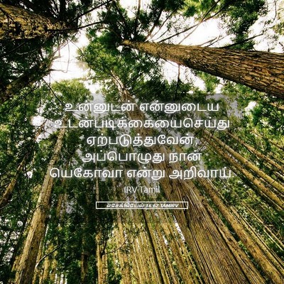 Picture 05 - எசேக்கியேல் 16:62 TAMIRV - உன்னுடன் என்னுடைய - Bible Verse Picture