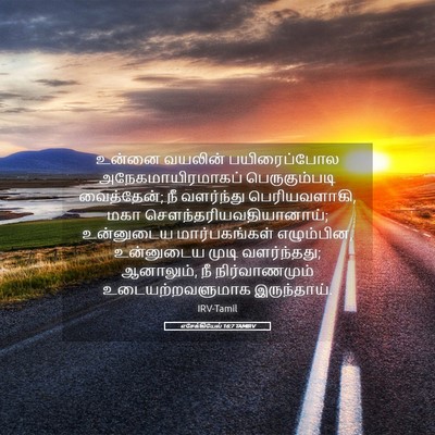 Picture 05 - எசேக்கியேல் 16:7 TAMIRV - உன்னை வயலின் - Bible Verse Picture
