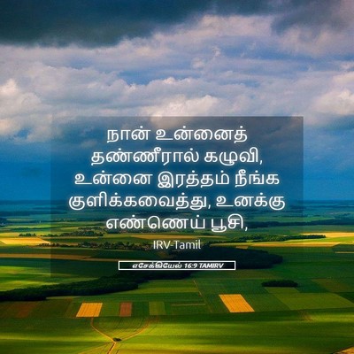 Picture 05 - எசேக்கியேல் 16:9 TAMIRV - நான் உன்னைத் - Bible Verse Picture