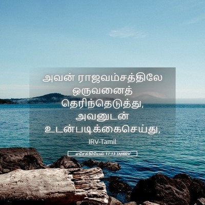 Picture 05 - எசேக்கியேல் 17:13 TAMIRV - அவன் - Bible Verse Picture