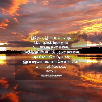 Picture 05 - எசேக்கியேல் 17:18 TAMIRV - இதோ, இவன் வாக்கு - Bible Verse Picture