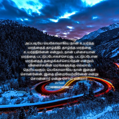 Picture 05 - எசேக்கியேல் 17:24 TAMIRV - அப்படியே - Bible Verse Picture