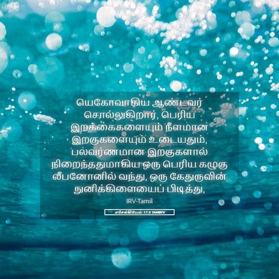 Picture 05 - எசேக்கியேல் 17:3 TAMIRV - யெகோவாகிய ஆண்டவர் - Bible Verse Picture