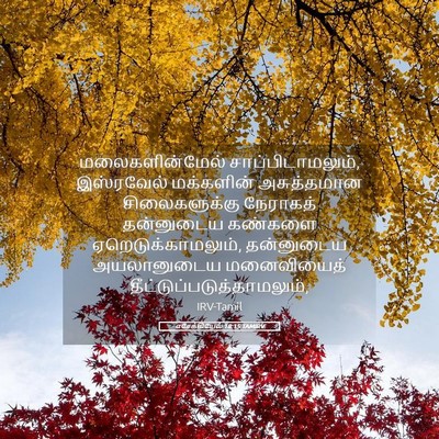 Picture 05 - எசேக்கியேல் 18:15 TAMIRV - மலைகளின்மேல் - Bible Verse Picture
