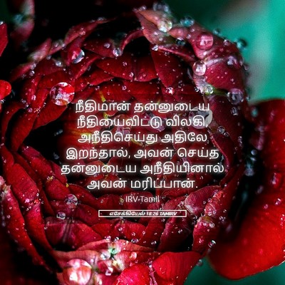 Picture 05 - எசேக்கியேல் 18:26 TAMIRV - நீதிமான் தன்னுடைய - Bible Verse Picture
