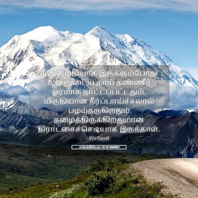 Picture 05 - எசேக்கியேல் 19:10 TAMIRV - நீ அமைதியாக - Bible Verse Picture