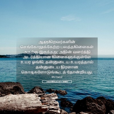 Picture 05 - எசேக்கியேல் 19:11 TAMIRV - ஆளுகிறவர்களின் - Bible Verse Picture