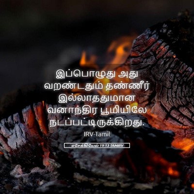 Picture 05 - எசேக்கியேல் 19:13 TAMIRV - இப்பொழுது அது - Bible Verse Picture