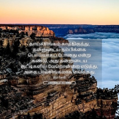 Picture 05 - எசேக்கியேல் 19:5 TAMIRV - தாய்ச்சிங்கம் - Bible Verse Picture