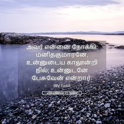 Picture 05 - எசேக்கியேல் 2:1 TAMIRV - அவர் என்னை நோக்கி: - Bible Verse Picture