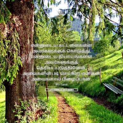 Picture 05 - எசேக்கியேல் 20:11 TAMIRV - என்னுடைய - Bible Verse Picture