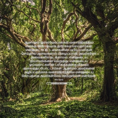Picture 05 - எசேக்கியேல் 20:13 TAMIRV - ஆனாலும் இஸ்ரவேல் - Bible Verse Picture