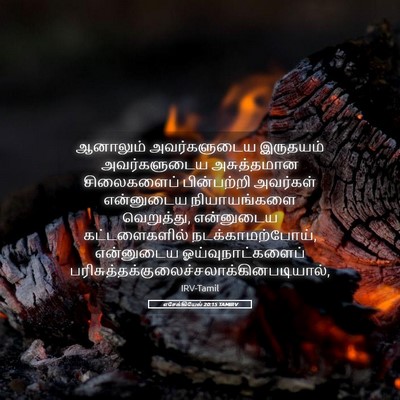 Picture 05 - எசேக்கியேல் 20:15 TAMIRV - ஆனாலும் - Bible Verse Picture