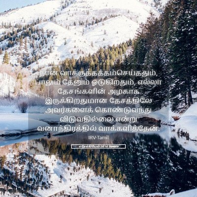 Picture 05 - எசேக்கியேல் 20:16 TAMIRV - நான் - Bible Verse Picture