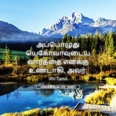 Picture 05 - எசேக்கியேல் 20:2 TAMIRV - அப்பொழுது - Bible Verse Picture
