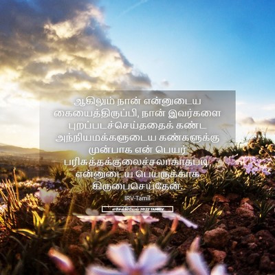 Picture 05 - எசேக்கியேல் 20:22 TAMIRV - ஆகிலும் நான் - Bible Verse Picture