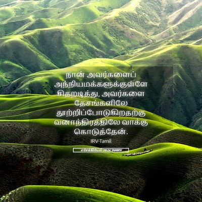 Picture 05 - எசேக்கியேல் 20:24 TAMIRV - நான் அவர்களைப் - Bible Verse Picture