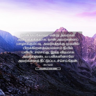 Picture 05 - எசேக்கியேல் 20:26 TAMIRV - நான் யெகோவா என்று - Bible Verse Picture