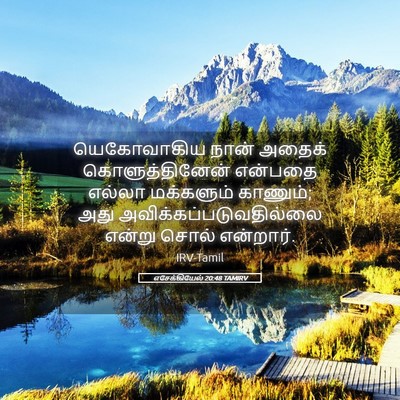 Picture 05 - எசேக்கியேல் 20:48 TAMIRV - யெகோவாகிய நான் - Bible Verse Picture