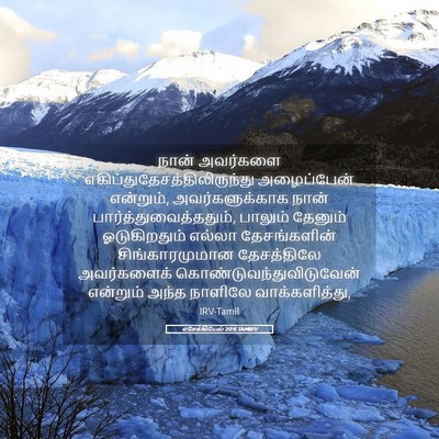 Picture 05 - எசேக்கியேல் 20:6 TAMIRV - நான் அவர்களை - Bible Verse Picture