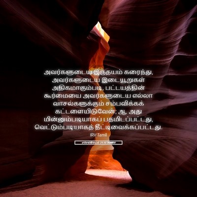 Picture 05 - எசேக்கியேல் 21:15 TAMIRV - அவர்களுடைய - Bible Verse Picture