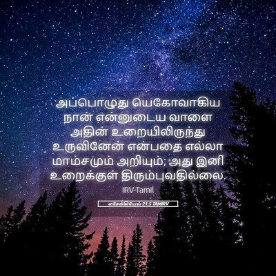 Picture 05 - எசேக்கியேல் 21:5 TAMIRV - அப்பொழுது - Bible Verse Picture