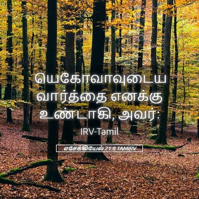 Picture 05 - எசேக்கியேல் 21:8 TAMIRV - யெகோவாவுடைய - Bible Verse Picture