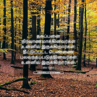 Picture 05 - எசேக்கியேல் 22:10 TAMIRV - தகப்பனை - Bible Verse Picture