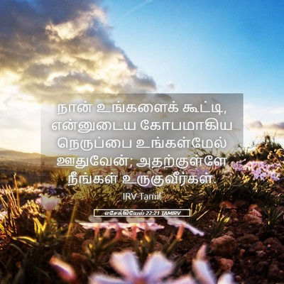 Picture 05 - எசேக்கியேல் 22:21 TAMIRV - நான் உங்களைக் - Bible Verse Picture