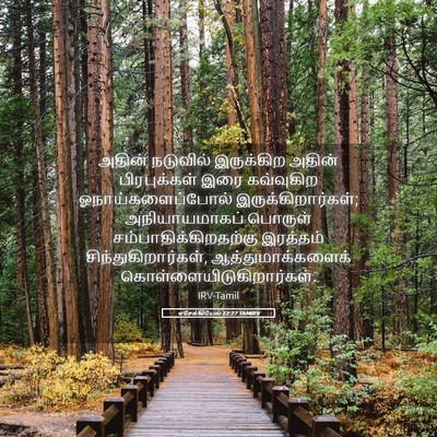 Picture 05 - எசேக்கியேல் 22:27 TAMIRV - அதின் நடுவில் - Bible Verse Picture