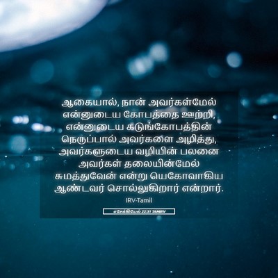 Picture 05 - எசேக்கியேல் 22:31 TAMIRV - ஆகையால், நான் - Bible Verse Picture