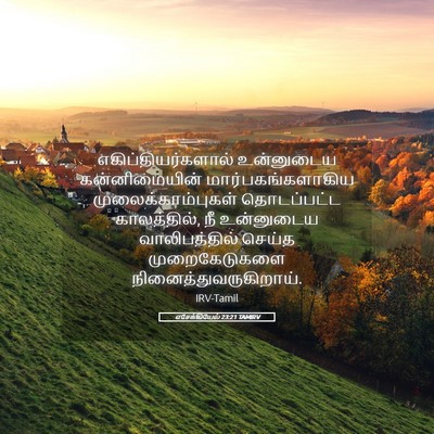 Picture 05 - எசேக்கியேல் 23:21 TAMIRV - எகிப்தியர்களால் - Bible Verse Picture