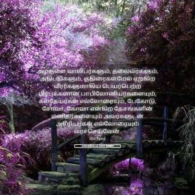 Picture 05 - எசேக்கியேல் 23:23 TAMIRV - அழகுள்ள - Bible Verse Picture
