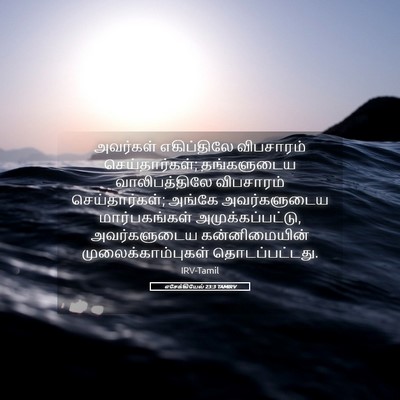 Picture 05 - எசேக்கியேல் 23:3 TAMIRV - அவர்கள் எகிப்திலே - Bible Verse Picture