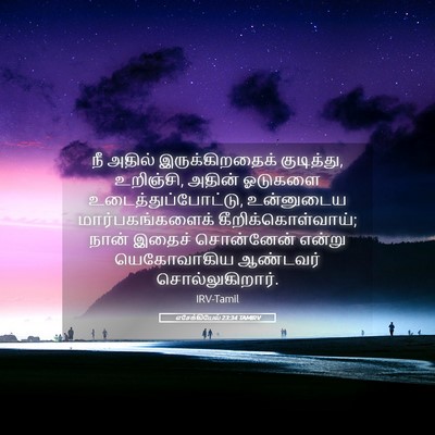 Picture 05 - எசேக்கியேல் 23:34 TAMIRV - நீ அதில் - Bible Verse Picture